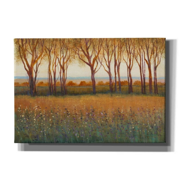 Epic Graffiti 'Glow in the Afternoon I' by Tim O'Toole, Canvas Wall Art, 26"x18"