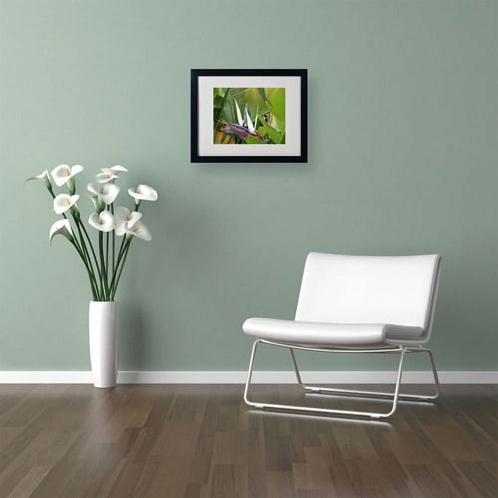 Trademark Fine Art "Paradise 2" Matted Framed Art by Patty Tuggle, Black Frame