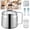 53Oz-A, variant on Oil Filter Pot, Stainless Steel Oil Filter Vessel, Stainless Steel Mini Deep Fryer with Detachable Strainer, 1.5L/2L Basket and Lid, 3 in 1 Frying Pot, Stovetop Fryer for Home Kitchen