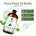 thumbnail image 4 of SVA Tamanu Seed Oil - 16 Fl Oz – 100% Natural Cold Pressed Tamanu Oil - for Face, Skin Care, Hair Care, Scalp Massage & Body Massage – Carrier Oil, 4 of 7