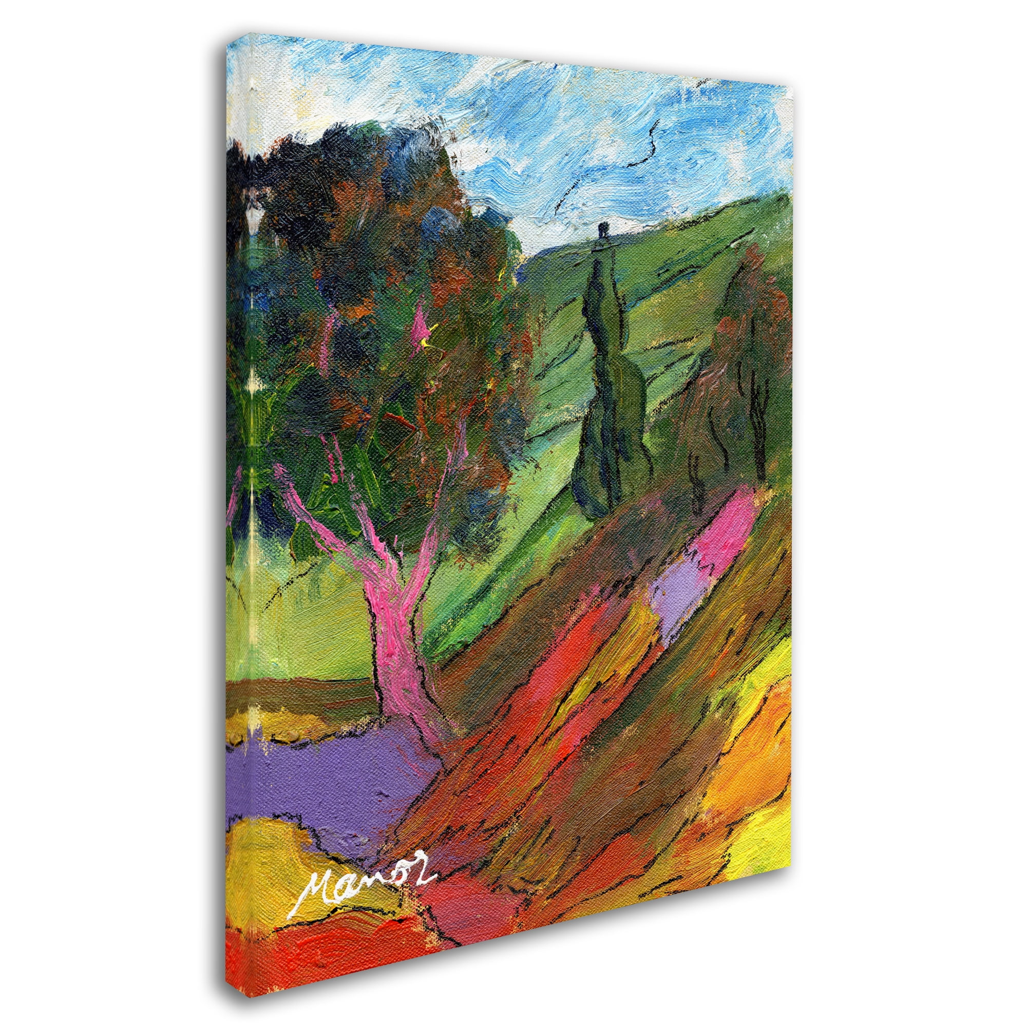 Trademark Fine Art "Untouched Hillside" Canvas Art by Manor Shadian