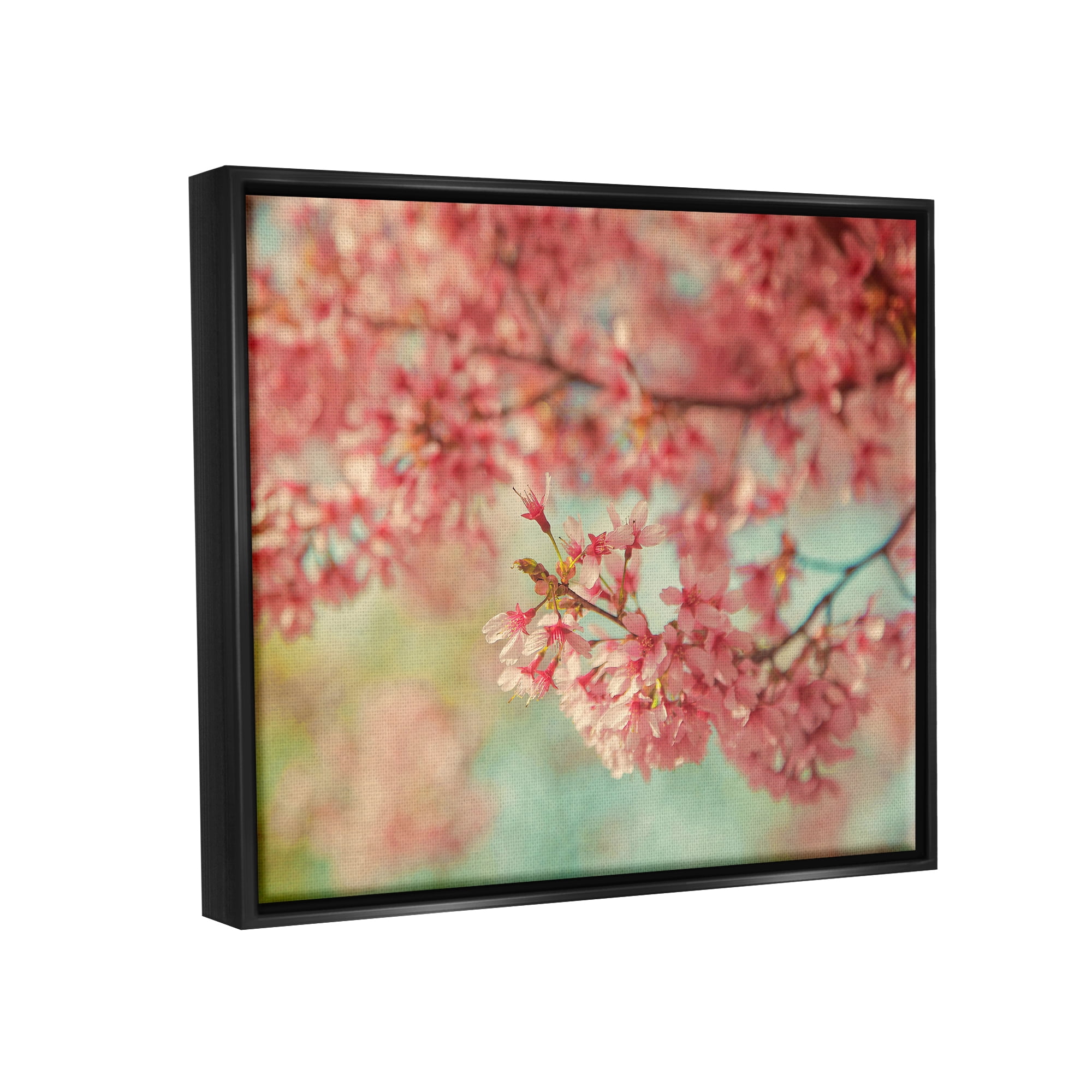 Stupell Industries Pink Cherry Blossoms Botanical & Floral Photography Black Floater Framed Canvas Art Print Wall Art, 31 x 25