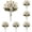 Artificial Daisy Flowers-White*5, variant on Artificial Fall Mums, 20 Mixed Plastic Chrysanthemum Bunches for Indoor Displays and Covered Outdoor Decor,20 Bunches