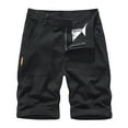 thumbnail image 2 of AXXD Men Shorts Black Size Sports And Leisure Multi-Pockets Relaxed Summer Beach Shorts New Arrival, 2 of 3