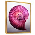 thumbnail image 2 of Designart "Marine Seashell Spiral In Vibrant Magenta" Nautilus Floater Framed Wall Art Prints, 2 of 5