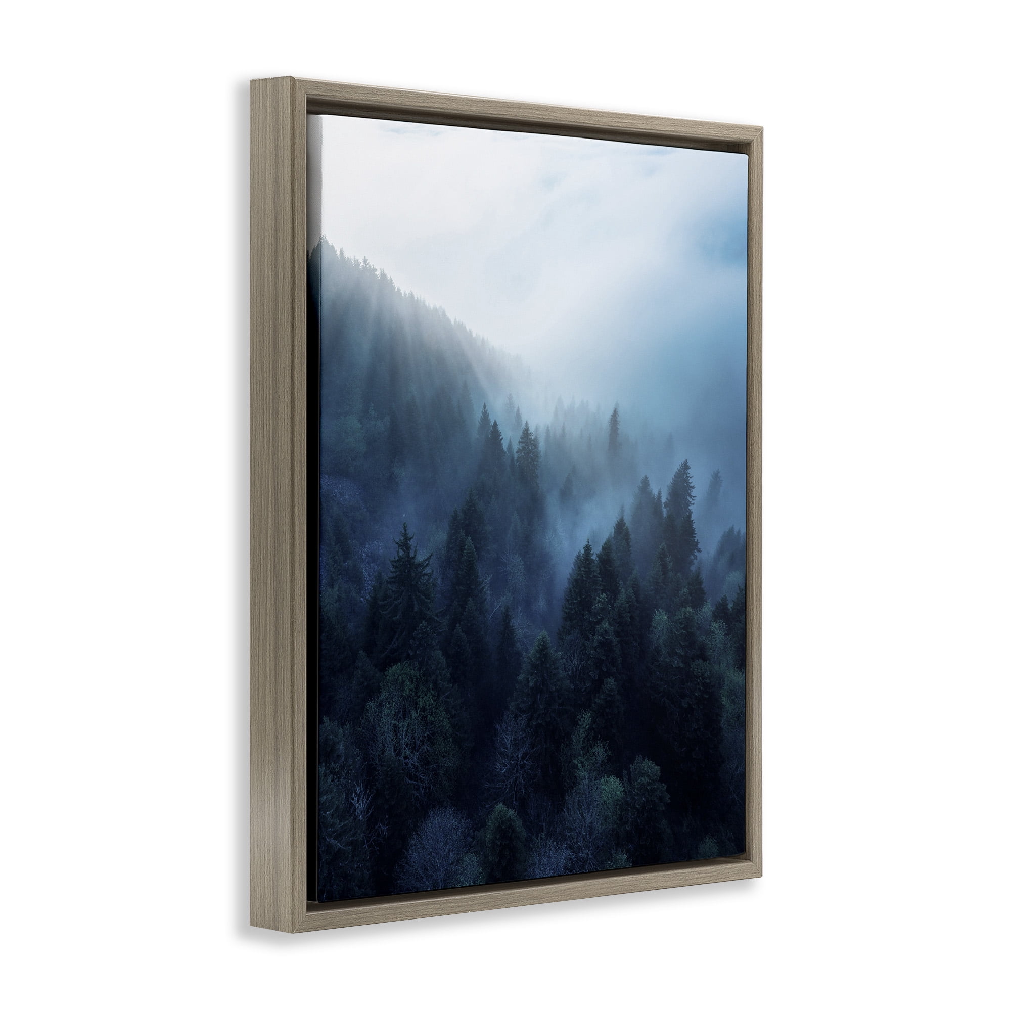 Stupell Industries Daylight over Pine Forest Landscape Photography Brown Floater Framed Canvas Art Print Wall Art, 25 x 31
