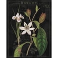 thumbnail image 2 of Schlabach, Sue 26x32 Gold Ornate Wood Framed with Double Matting Museum Art Print Titled - Vintage White Flora III, 2 of 4