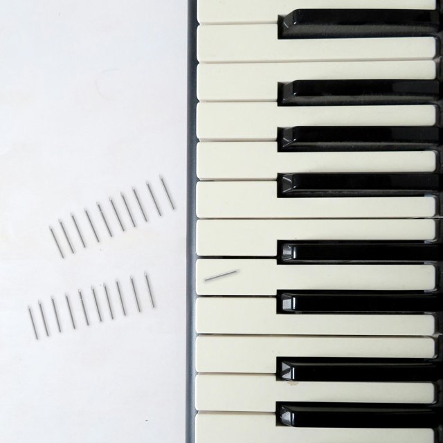 unbranded Accesorios Para Reparación De Piano Con Agujas Shenda Y Clavos Para Mantenimiento