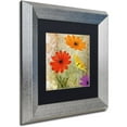 thumbnail image 2 of Trademark Fine Art "Fiesta I" Canvas Art by Color Bakery Black Matte, Silver Frame, 2 of 4