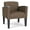 Castillo Quarry, variant on Belmont Lounge Reception Waiting Guest Chair / Black Steel Legs / Light Gray