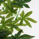 thumbnail image 5 of 2 Piezas de Adorno de Terrario para de de Acuario, Decoración de Hojas de Plantas, 30 Cm Salvador Dali Reptiles Vine Jungle, 5 of 10