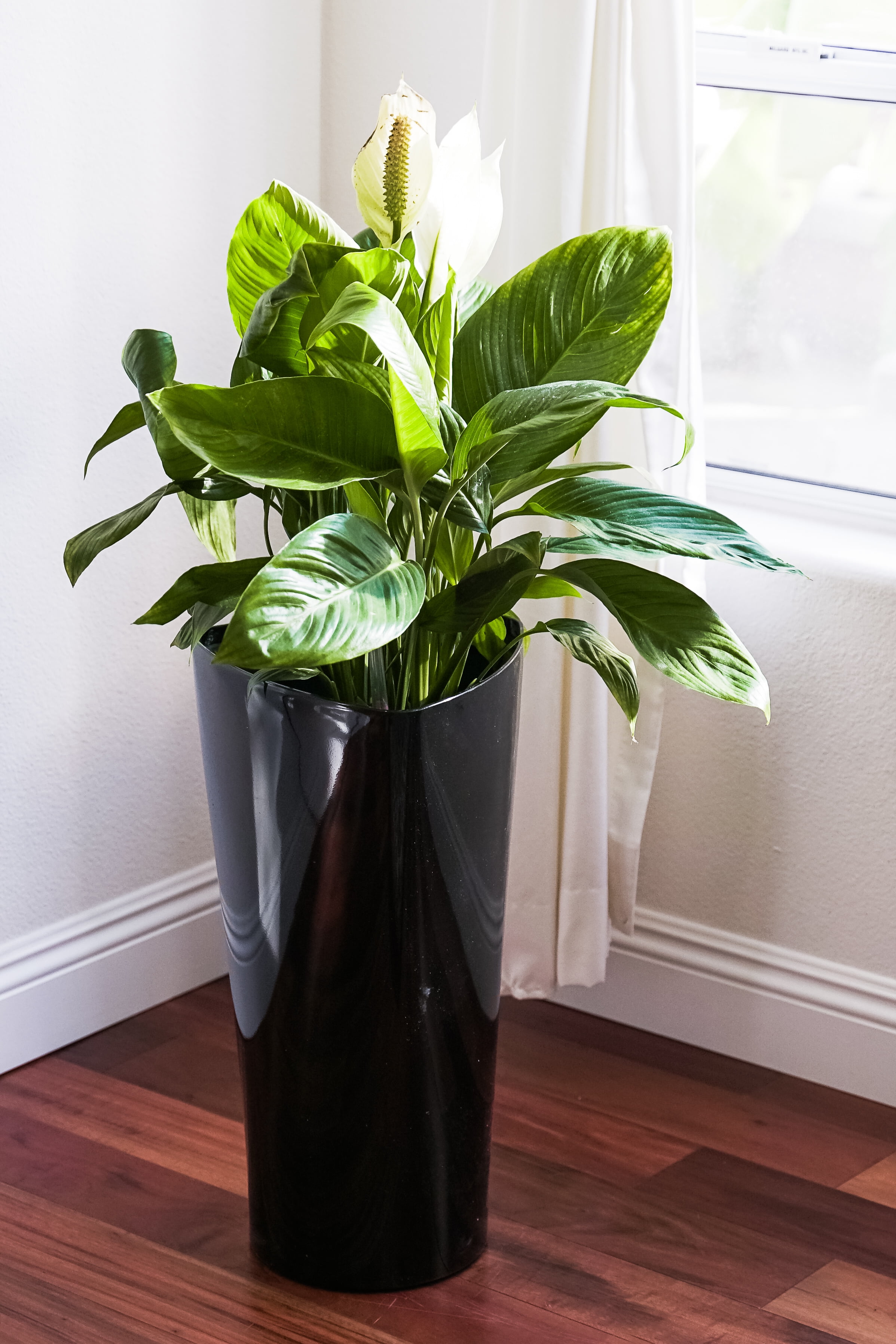 XBrand 22.4" H Plastic Self Watering Indoor Outdoor Triangle Planter Pot w/Glossy Finish, Tall Decorative Gardening Pot Black