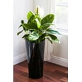 thumbnail image 4 of XBrand 22.4" H Plastic Self Watering Indoor Outdoor Triangle Planter Pot w/Glossy Finish, Tall Decorative Gardening Pot Black, 4 of 7