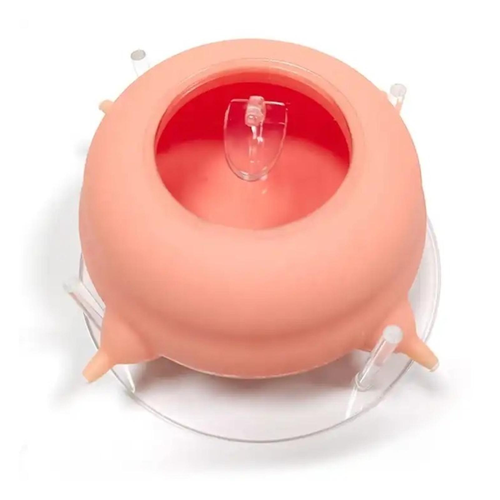 Bubble milk bowl Puppy Feeder Puppy Milk Feeder Puppy Nursing Station