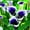 B, variant on Calla lily, Low Maintenance - Easy Grow - Ideal for Beds Borders, Plant Pots & Planters