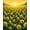 Yellow, Pattern 2, variant on ODIKA 2'x3' Machine Washable Non-Slip Area Rug, Summer Sunshine High Traffic Rug, Yellow, 66150