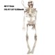 thumbnail image 3 of Modelo humano de 40 cm de Halloween Fiudx juguete de ambiente de barra de suspenso, 3 of 3
