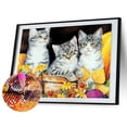 thumbnail image 3 of Cuadros Decorativos 5D bricolaje completo taladro diamante pintura gato bordado mosaico Kits decoración (LD049) Ndcxsfigh Nuevos Originales, 3 of 8