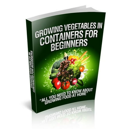 Growing Vegetables in Containers for Beginners - (Best Grow Box For Beginners)
