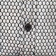thumbnail image 5 of Camisa de playa con solapa y manga larga para hombre - Camisa informal con estampado sexy para vacaciones de primavera-verano, 5 of 7