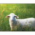 thumbnail image 1 of We Are His People Sheep Leafy Green 10 x 8 MDF Wood Decorative Framed Sign, 1 of 1
