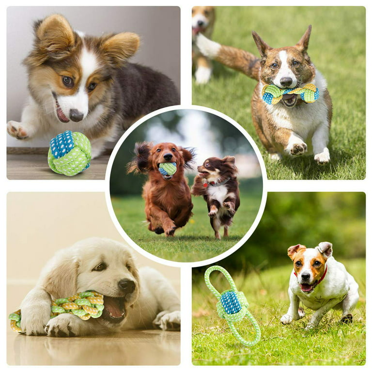 COHEALI Cool Gadgets Cool Gadgets Cool Gadgets Cool Gadgets Dog Rope Toy  Interactive Dog Toys Launcher Training Sport Toy for Dogs Pets Plaything  Toy