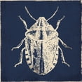 thumbnail image 2 of Villa, Milli 20x20 White Modern Wood Framed Museum Art Print Titled - Bug Life Blue Four, 2 of 4