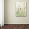 thumbnail image 3 of Trademark Fine Art "Spring Grasses I Crop" Canvas Art by Avery Tillmon, 3 of 3