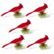thumbnail image 3 of Animales de Navidad rojo artificial realista pluma con clip ramas de pino adorno de decoración de árbol de Navidad 5 Piezas Methold  HA008811-00, 3 of 6