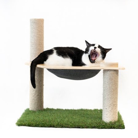 On2 Pets Cat Condo Cat Tree Tower with Cat Hammock Bed and 3 Scratching Posts Cat Furniture  Dark Gray