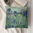 thumbnail image 3 of BANET Van Gogh Flower Throw Pillow Cover Case for Couch Sofa Bed Home Decor 20x20in, 3 of 5