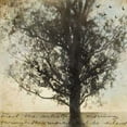 thumbnail image 2 of Under the Trees II Poster Print by Amy Melious (12 x 12), 2 of 2
