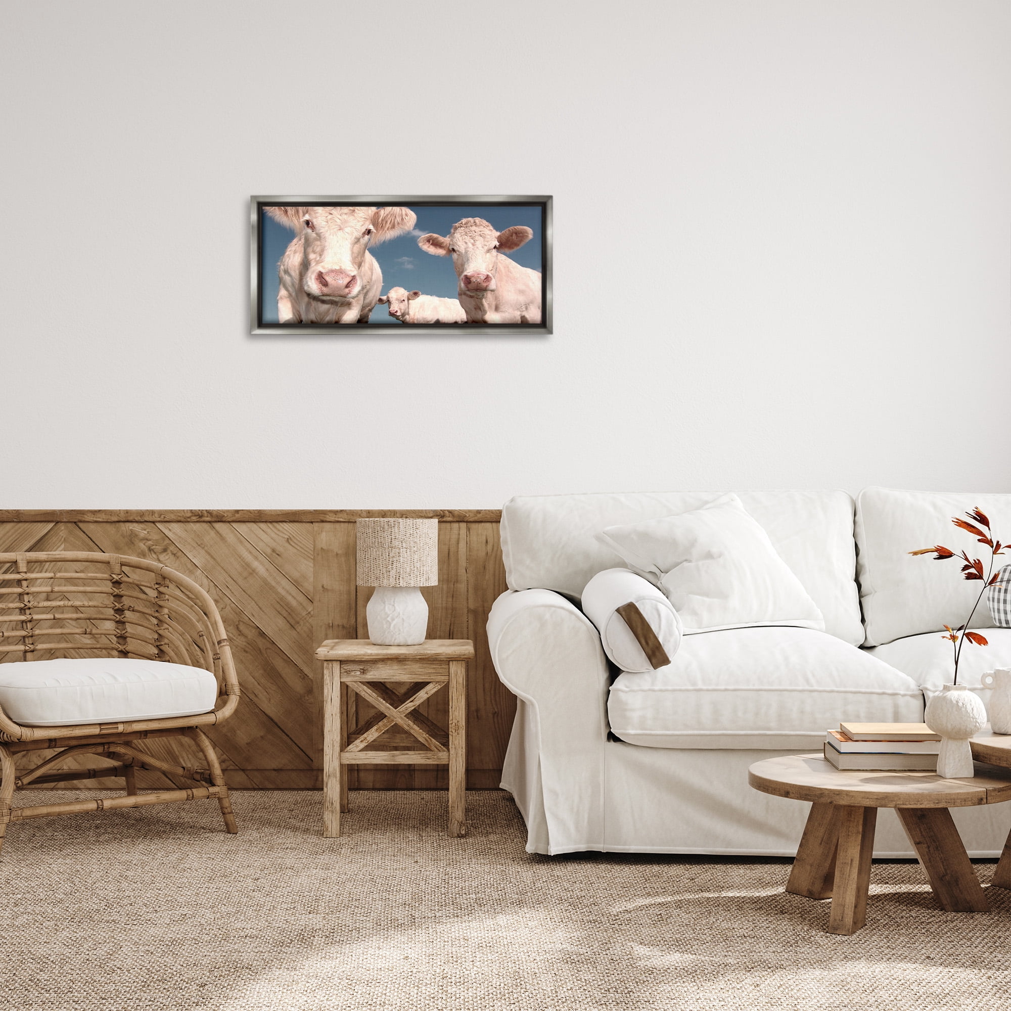 Stupell Industries Three White Cows Animals & Insects Photography Gray Floater Framed Canvas Art Print Wall Art, 25 x 11