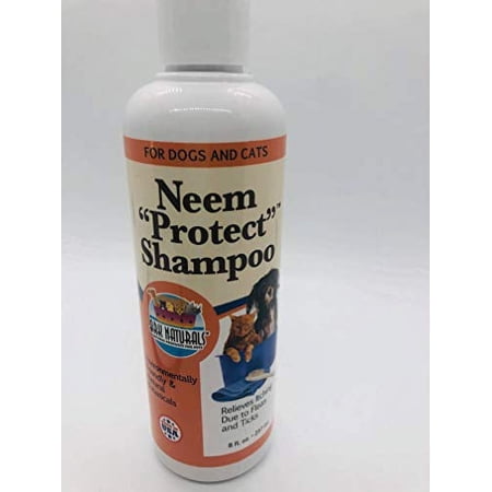 UPC: 0632634110048 | Ark Naturals Neem Protect Shampoo – 8 Fl Oz
