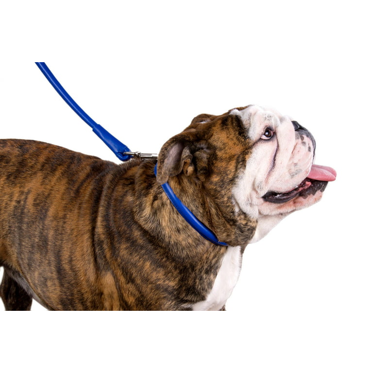 Waterproof AirTag Dog Collar Holder – CollarDirect