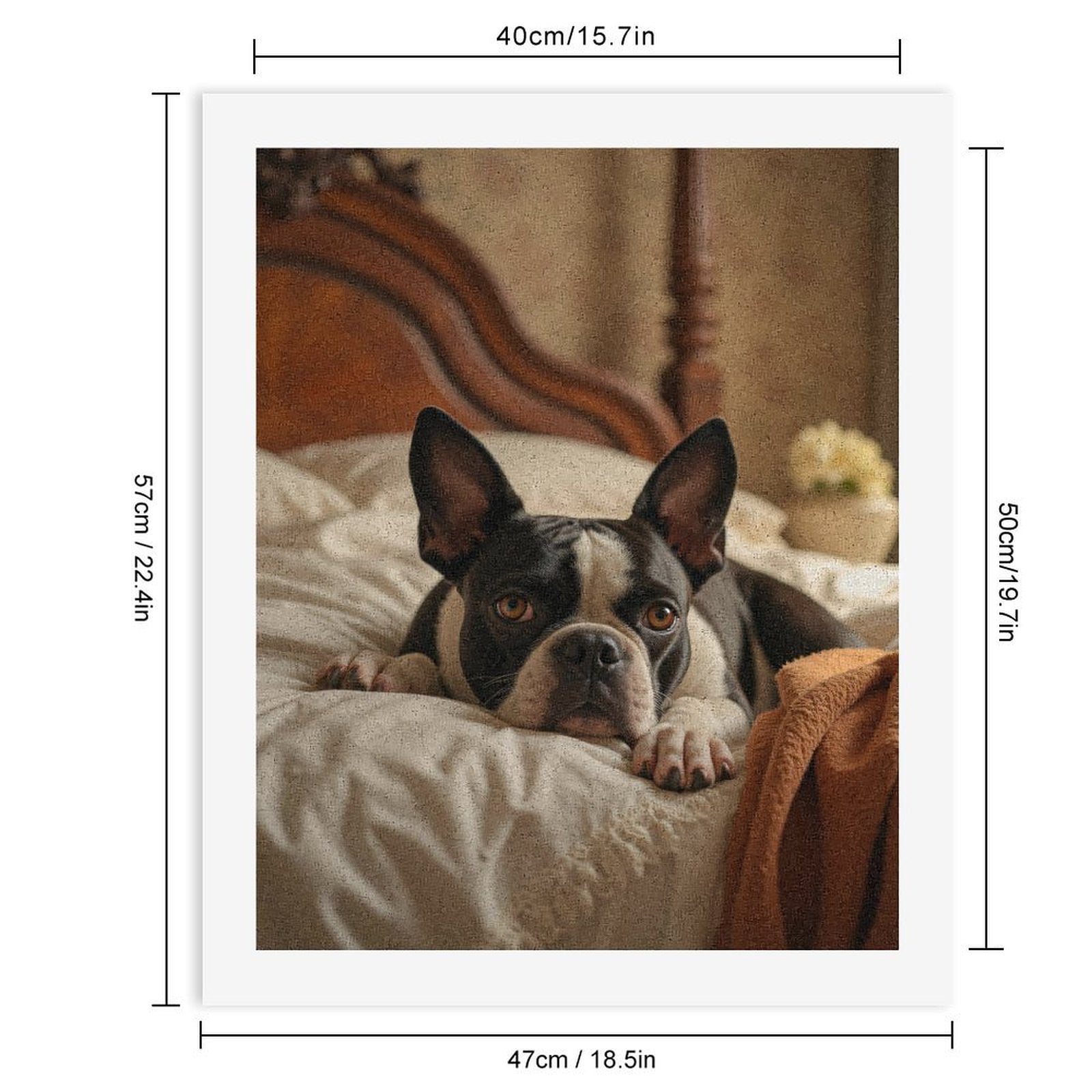 Paint by Numbers Kit for Adults, Boston Terrier Resting On Bed Paint by Numbers, Easy Paint by Numbers Kit for Adults Beginner, DIY Adult Paint by Number Kits on Canvas, Home Decor