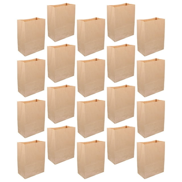 OULII 20 Pcs Sacs en Papier Kraft pour Rangement de Collations Bruns Réutilisables Portables Petits Sacs de Rangement en Papier
