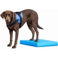 FitPAWS® Balance Pad | Dog Balance Training Platform & Exercise ...
