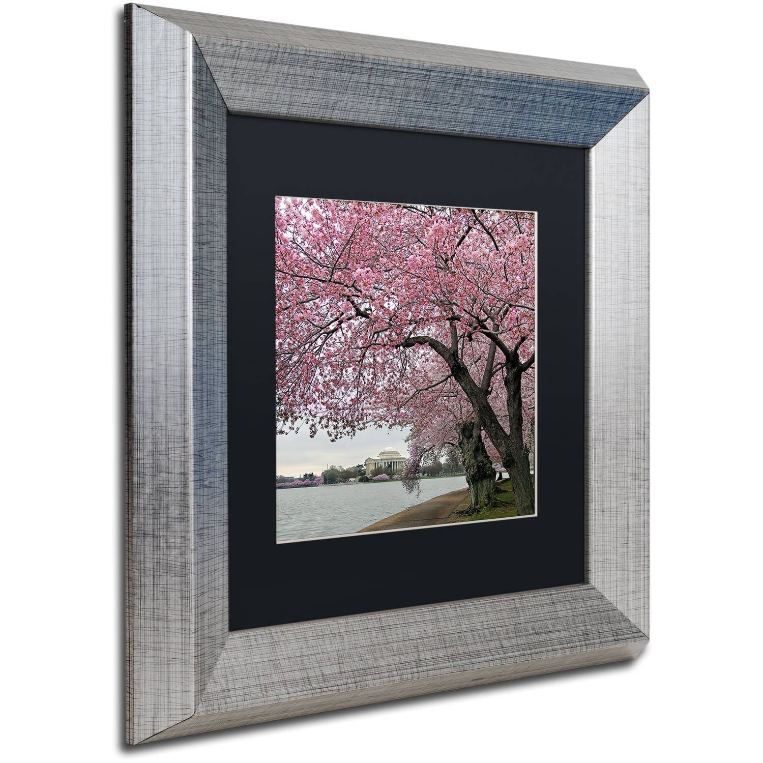 Trademark Fine Art "Tidal Basin Blossoms" Canvas Art by CATeyes, Black Matte, Silver Frame