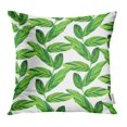thumbnail image 1 of EREHome Colorful Abstract Exotic Pattern with Tropical Leaves Green Beach Beautiful Pillow Case Pillow Cover 16x16 inch Throw Pillow Covers, 1 of 1