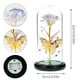 thumbnail image 4 of Rosa de Navidad para mujer, rosa galáctica con flores preservadas y luces LED, el mejor regalo de Navidad para ella, esposa, novia, hijos, San Valentín, Día de la Madre, cumpleaños y Acción de, 4 of 8