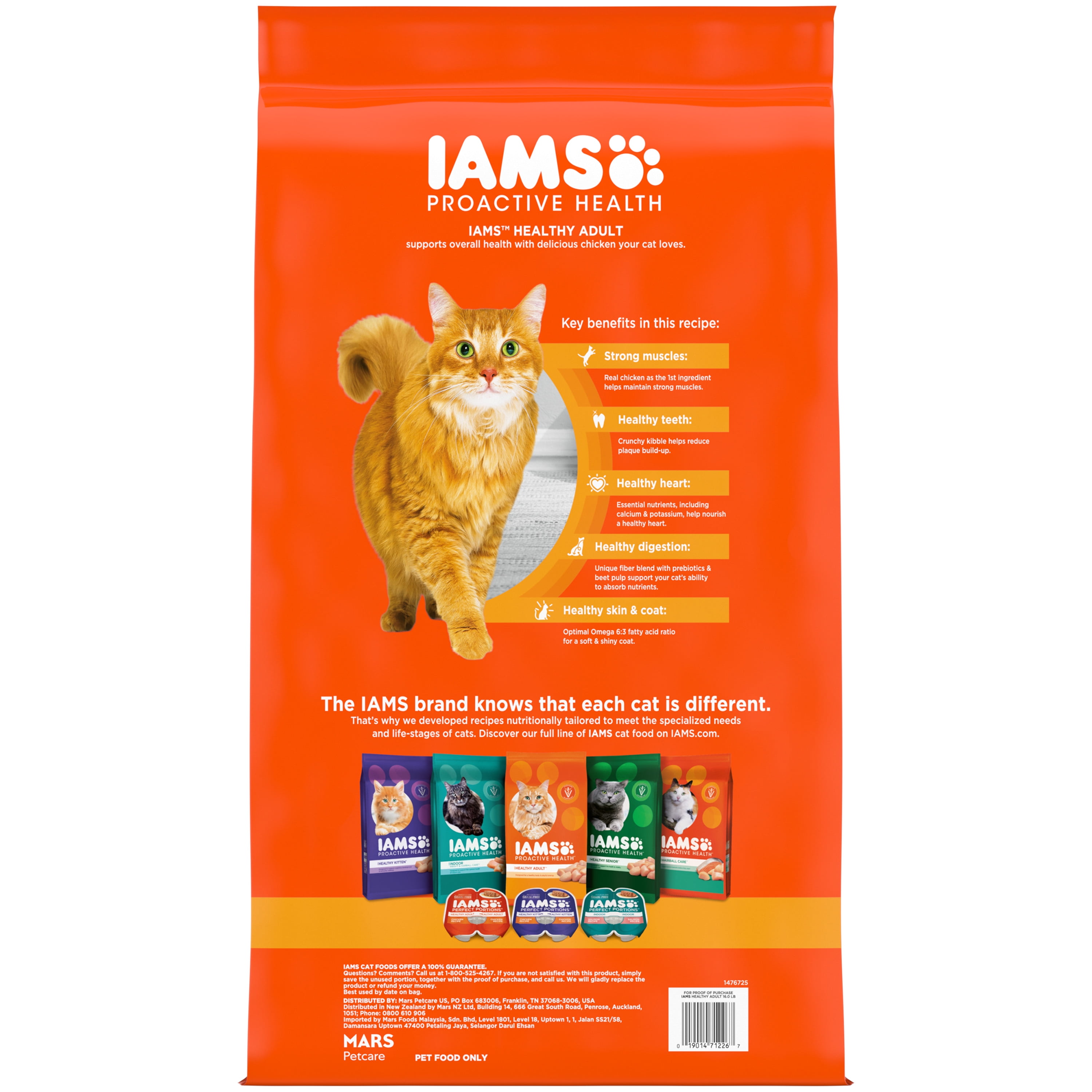 walmart iams cat food