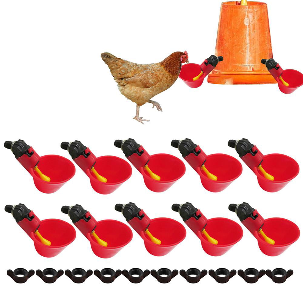 20x Chicken Drink Quail Waterer Bowls Bird Automatic-Feeder Drinking Cups Useful