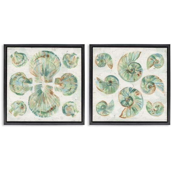 Stupell Industries Saltwashed Seashells Pattern 2 Piece Black Framed Floater Canvas Set, design by June Erica Vess