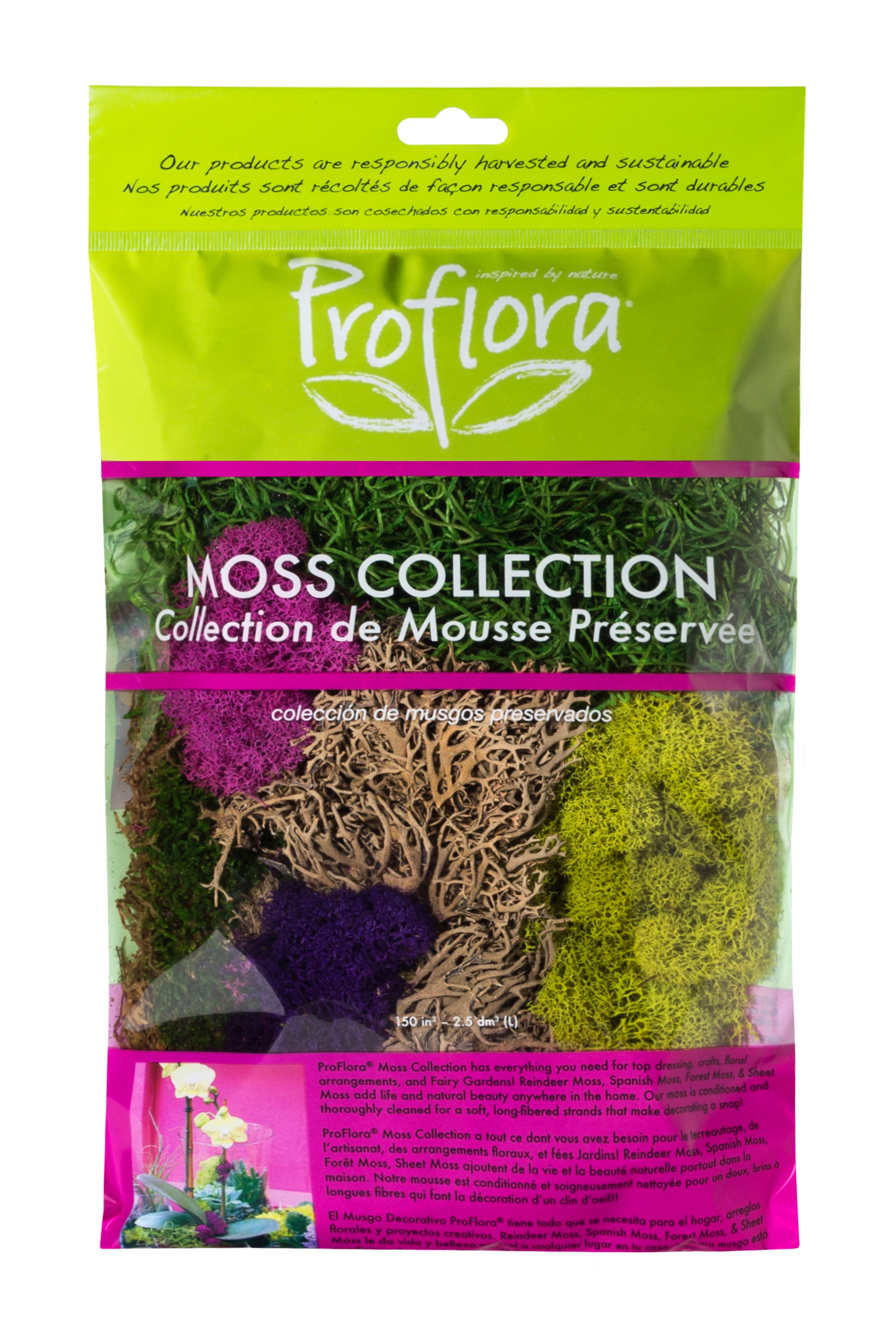 3 Bags 67 Cubic Inches of Floral Moss Great for Inside and Outside Planters for sale online 