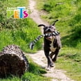 thumbnail image 4 of Juguete Jaladera C/Triple Nudo Fancy Pets Triple Nudo, 4 of 4