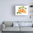thumbnail image 3 of Kathleen Parr McKenna 'Citrus Garden VIII' Canvas Art, 3 of 4