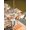 Light pink, variant on Outdoor Tablecloth with Umbrella Hole and Zipper, Fall Pumpkins Rectangle Table Cloth 60x102 Inch Waterproof Tablecloth, Thanksgiving Farmhouse Squirrel Flower Leaf Picnic Table Cover for Patio