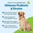 thumbnail image 2 of Pet Wellbeing Ultimate Probiotic 9 Strains for Dogs with Prebiotics - Supports the Microbiome, Healthy Digestion, Immune System Support, FOS, 2 of 9