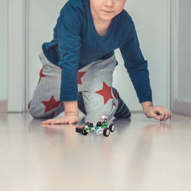 Ensamblaje Manual creativo DIY, modelo de reptil de ojo grande, juguetes para experimentos de ciencia para niños